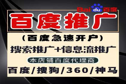 深入了解SEM代运营服务公司的策略与技巧